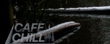Two logs floating on a pond, covered in snow, with a dark sky overhead.