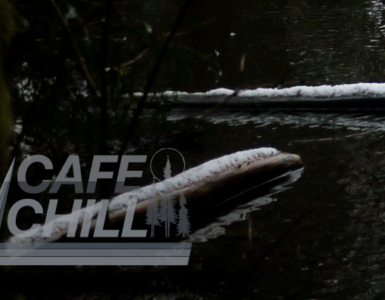 Two logs floating on a pond, covered in snow, with a dark sky overhead.