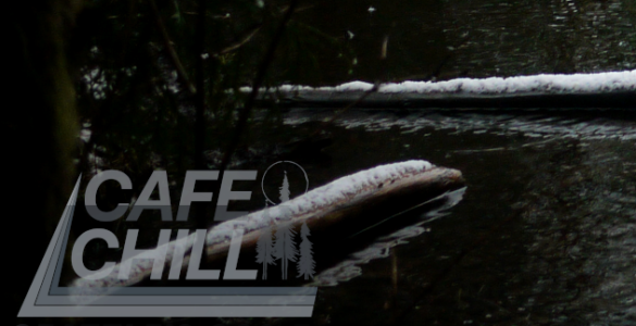Two logs floating on a pond, covered in snow, with a dark sky overhead.
