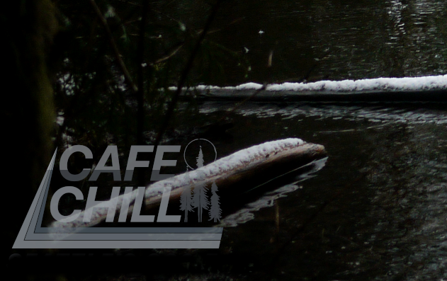 Two logs floating on a pond, covered in snow, with a dark sky overhead.