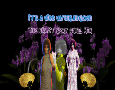 Promotional image featuring two stylized figures with colorful and elaborate floral designs around them, accompanied by text that reads "It's a VIBE The Crazy Sexy Cool Mix.