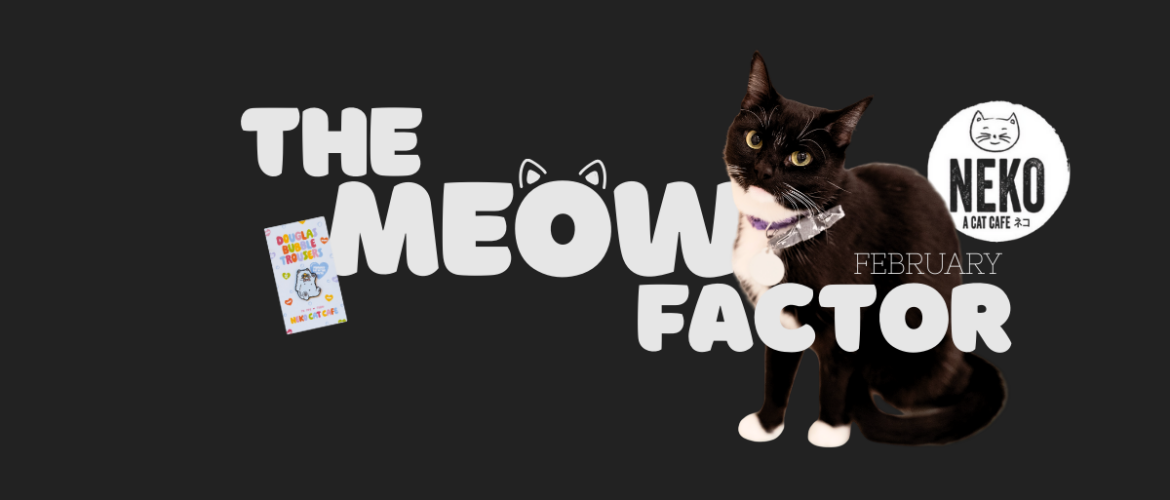 The image features a black and white cat standing next to the text "The Meow Factor" in large, playful letters. The background is dark, and on the right, there's a circular logo with the words "Neko: A Cat Cafe" and an illustrated cat face.