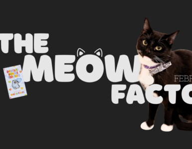 The image features a black and white cat standing next to the text "The Meow Factor" in large, playful letters. The background is dark, and on the right, there's a circular logo with the words "Neko: A Cat Cafe" and an illustrated cat face.