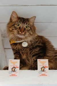 A fluffy cat with a "Truffle Pig" tag sits on a white shelf. In front of the cat are two cards, both labeled "Truffle Pig Ceiling Cat" featuring the name "Maddie, Cat of the Month" for March.
