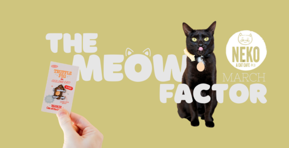 A black cat with a collar sits beside bold text reading "The Meow Factor." A hand holds a ticket with cartoon cat art and text about a golden gift contest. The "Neko Cat Cafe" logo and the word "March" are on the right side.