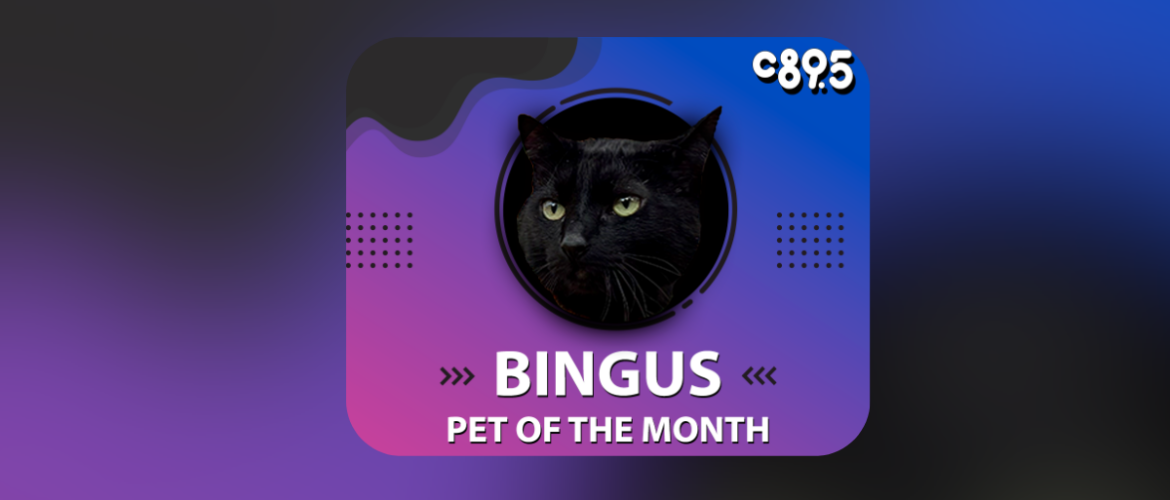 the image features a black cat in a circular frame with a colorful background. It includes descriptive text detailing the cat's personality traits and quirks, as well as the title "Pet of the Month" and the logo of C89.5.