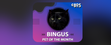 the image features a black cat in a circular frame with a colorful background. It includes descriptive text detailing the cat's personality traits and quirks, as well as the title "Pet of the Month" and the logo of C89.5.
