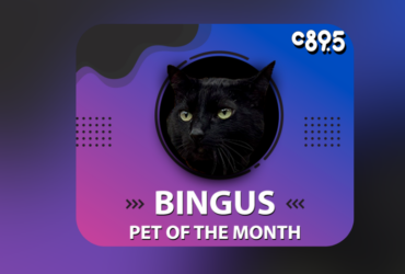 the image features a black cat in a circular frame with a colorful background. It includes descriptive text detailing the cat's personality traits and quirks, as well as the title "Pet of the Month" and the logo of C89.5.