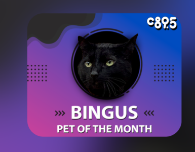 the image features a black cat in a circular frame with a colorful background. It includes descriptive text detailing the cat's personality traits and quirks, as well as the title "Pet of the Month" and the logo of C89.5.