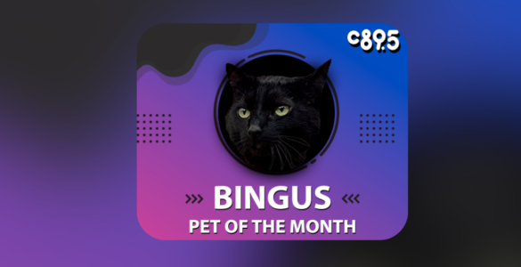 the image features a black cat in a circular frame with a colorful background. It includes descriptive text detailing the cat's personality traits and quirks, as well as the title "Pet of the Month" and the logo of C89.5.