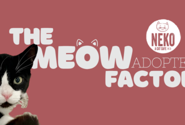 A black and white cat is featured on the left side against a pink background. The text reads, "The Meow Factor Adoptee!" and includes the logo for "Neko Cat Cafe.
