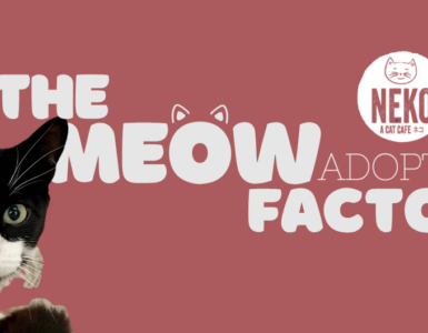 A black and white cat is featured on the left side against a pink background. The text reads, "The Meow Factor Adoptee!" and includes the logo for "Neko Cat Cafe.