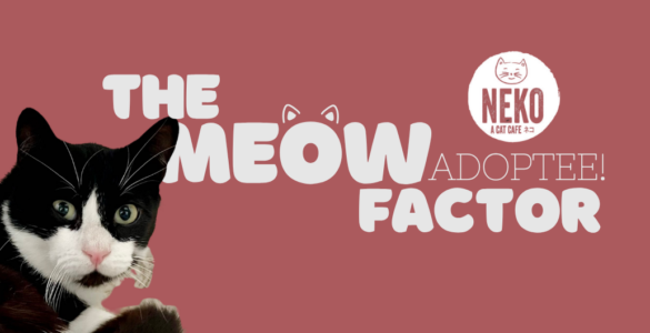 A black and white cat is featured on the left side against a pink background. The text reads, "The Meow Factor Adoptee!" and includes the logo for "Neko Cat Cafe.