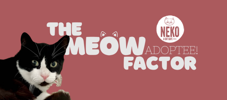 A black and white cat is featured on the left side against a pink background. The text reads, "The Meow Factor Adoptee!" and includes the logo for "Neko Cat Cafe.