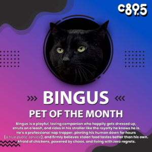  the image features a black cat in a circular frame with a colorful background. It includes descriptive text detailing the cat's personality traits and quirks, as well as the title "Pet of the Month" and the logo of C89.5.