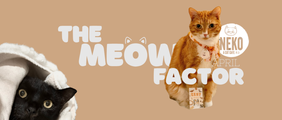 A ginger cat and a black cat are featured in an advertisement for Neko Cat Cafe. The ginger cat is sitting with a packet labeled "Zesty," and the black cat is beneath a white blanket. The text reads "The Meow Factor" with "Neko Cat Cafe" and "April" nearby.