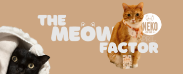 A ginger cat and a black cat are featured in an advertisement for Neko Cat Cafe. The ginger cat is sitting with a packet labeled "Zesty," and the black cat is beneath a white blanket. The text reads "The Meow Factor" with "Neko Cat Cafe" and "April" nearby.