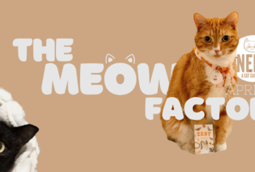 A ginger cat and a black cat are featured in an advertisement for Neko Cat Cafe. The ginger cat is sitting with a packet labeled "Zesty," and the black cat is beneath a white blanket. The text reads "The Meow Factor" with "Neko Cat Cafe" and "April" nearby.