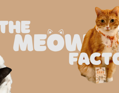 A ginger cat and a black cat are featured in an advertisement for Neko Cat Cafe. The ginger cat is sitting with a packet labeled "Zesty," and the black cat is beneath a white blanket. The text reads "The Meow Factor" with "Neko Cat Cafe" and "April" nearby.
