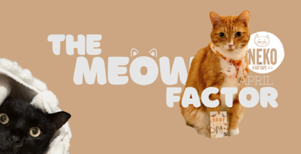 A ginger cat and a black cat are featured in an advertisement for Neko Cat Cafe. The ginger cat is sitting with a packet labeled "Zesty," and the black cat is beneath a white blanket. The text reads "The Meow Factor" with "Neko Cat Cafe" and "April" nearby.