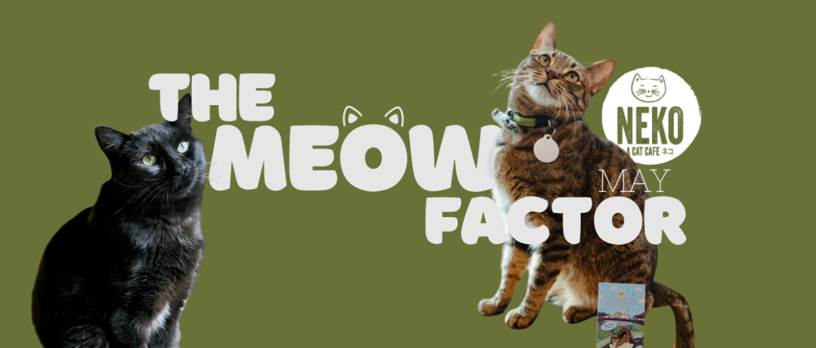 A green banner featuring two cats. The text reads "The Meow Factor" with a playful font, incorporating cat ear designs. The logo for "Neko Cat Diet" is visible, along with the word "May." One cat is black, and the other is brown with a striped pattern.
