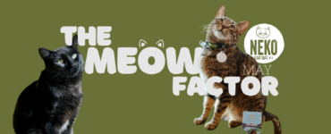 A green banner featuring two cats. The text reads "The Meow Factor" with a playful font, incorporating cat ear designs. The logo for "Neko Cat Diet" is visible, along with the word "May." One cat is black, and the other is brown with a striped pattern.