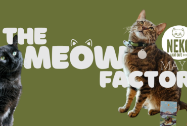 A green banner featuring two cats. The text reads "The Meow Factor" with a playful font, incorporating cat ear designs. The logo for "Neko Cat Diet" is visible, along with the word "May." One cat is black, and the other is brown with a striped pattern.