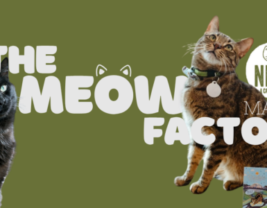A green banner featuring two cats. The text reads "The Meow Factor" with a playful font, incorporating cat ear designs. The logo for "Neko Cat Diet" is visible, along with the word "May." One cat is black, and the other is brown with a striped pattern.