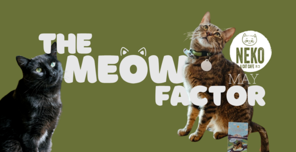 A green banner featuring two cats. The text reads "The Meow Factor" with a playful font, incorporating cat ear designs. The logo for "Neko Cat Diet" is visible, along with the word "May." One cat is black, and the other is brown with a striped pattern.