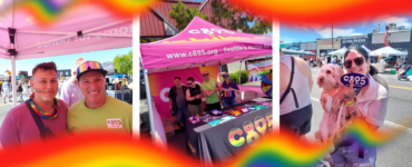 This image is a collage of three photos from a C89.5 event. The first photo shows two individuals under a pink canopy with rainbow decorations. The second photo displays several people standing behind a C89.5 booth with various items on a table. The third photo captures a person holding a small dog, both wearing rainbow accessories, with a C89.5 sign in hand.