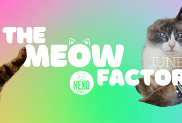 The image features two cats, one on each side, against a vibrant rainbow gradient background. The text "The Meow Factor" is prominently displayed in bold white letters, with "June" placed nearby. A "Neko Flavors" logo is also visible in the center. The cat on the left is fluffy with a playful pose, while the cat on the right has a more relaxed demeanor.