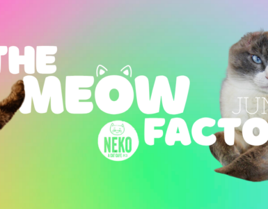 The image features two cats, one on each side, against a vibrant rainbow gradient background. The text "The Meow Factor" is prominently displayed in bold white letters, with "June" placed nearby. A "Neko Flavors" logo is also visible in the center. The cat on the left is fluffy with a playful pose, while the cat on the right has a more relaxed demeanor.